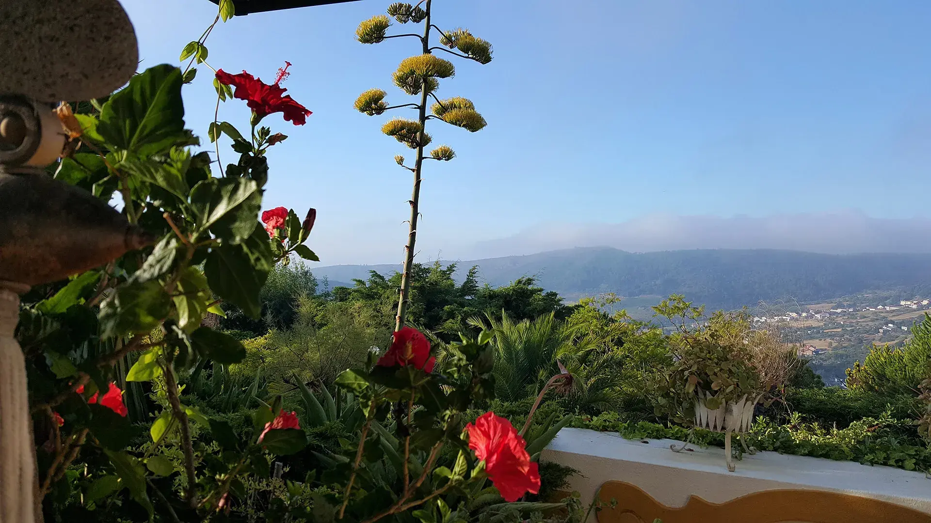 La Venus de Lisboa - photo - photo-01