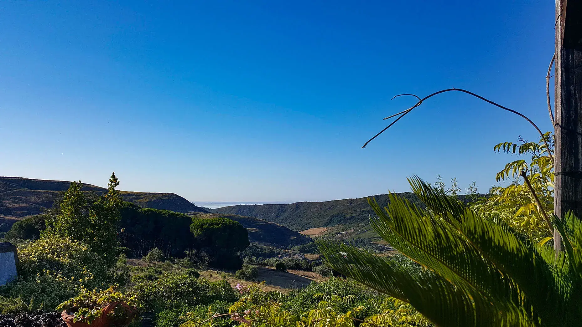 La Venus de Lisboa - photo - photo-03