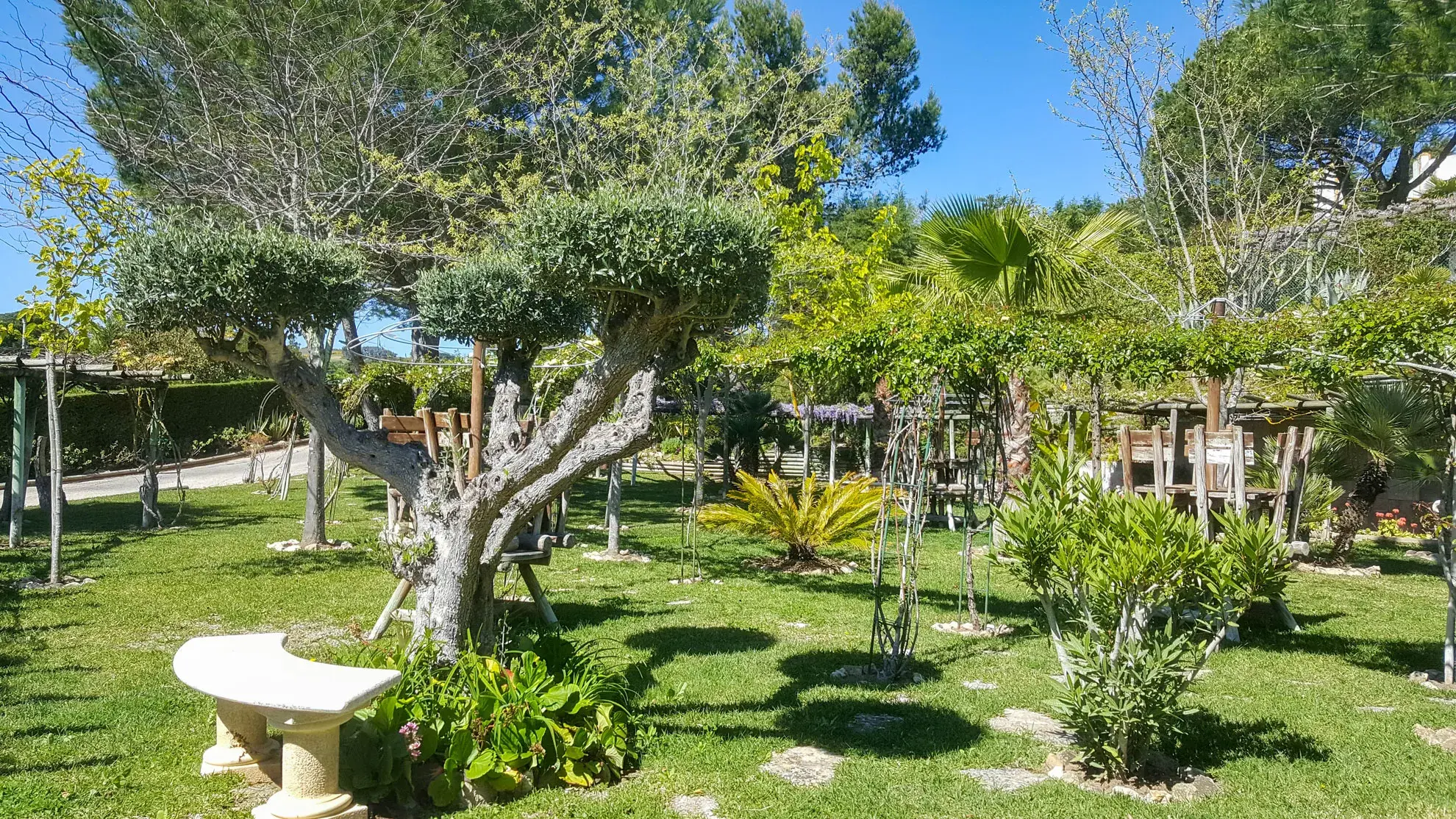 La Venus de Lisboa - photo - photo-04