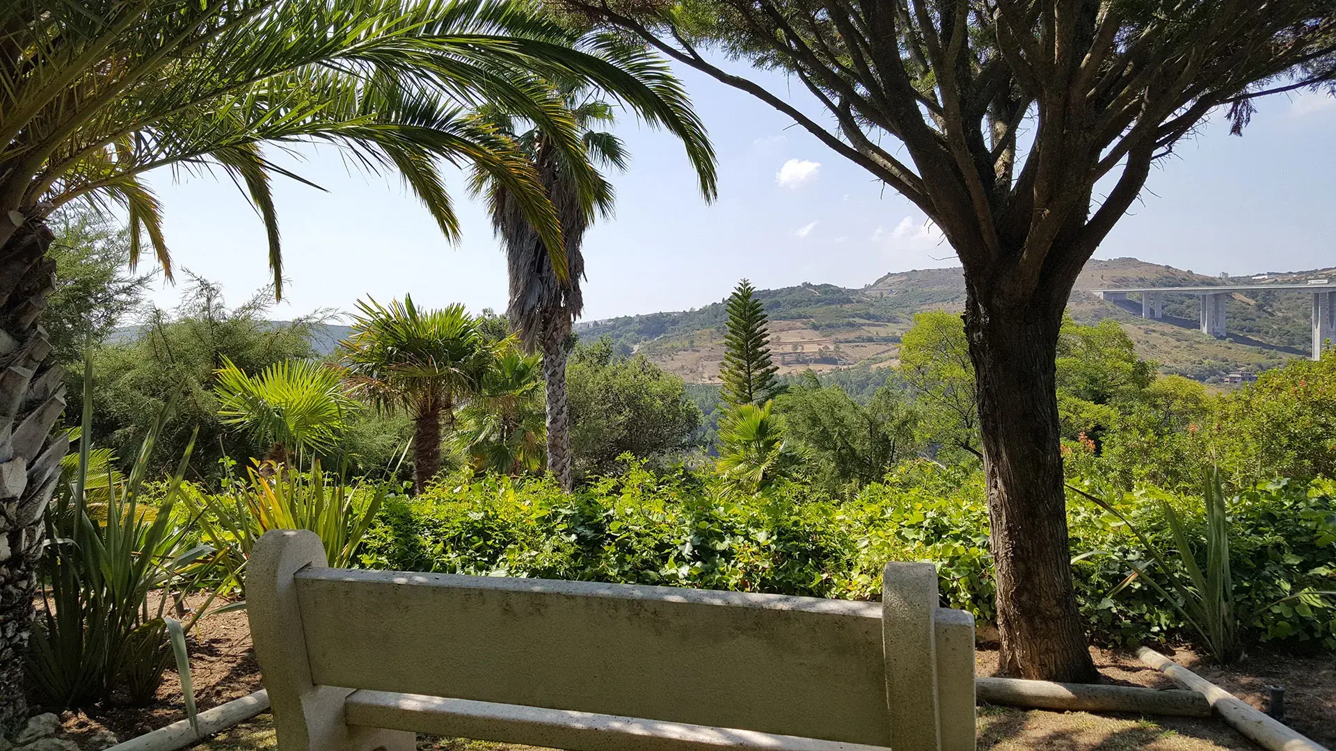 La Venus de Lisboa - photo - photo-05