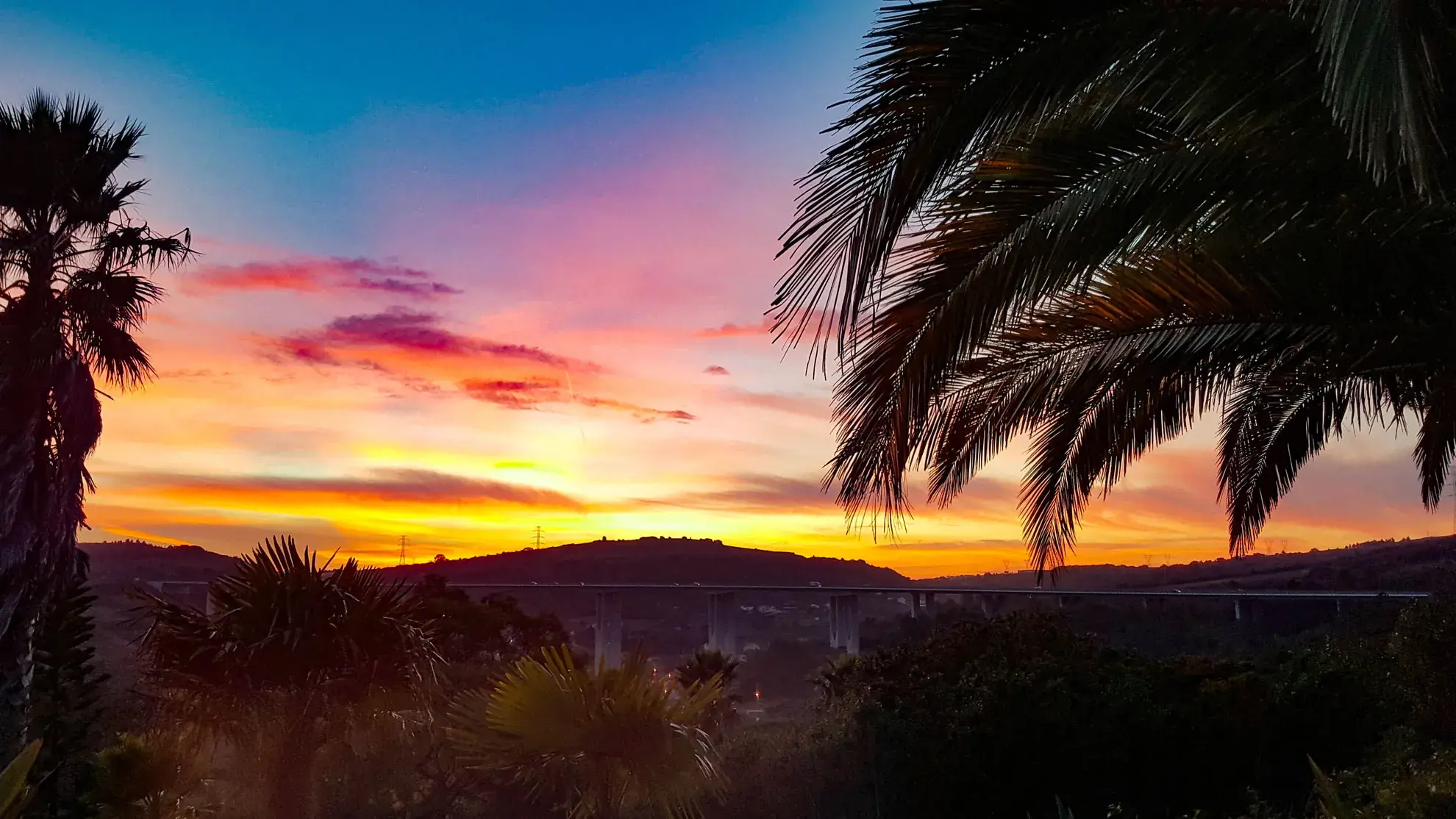 La Venus de Lisboa - photo - photo-06