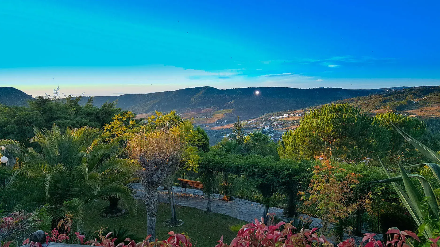 La Venus de Lisboa - photo - photo-07