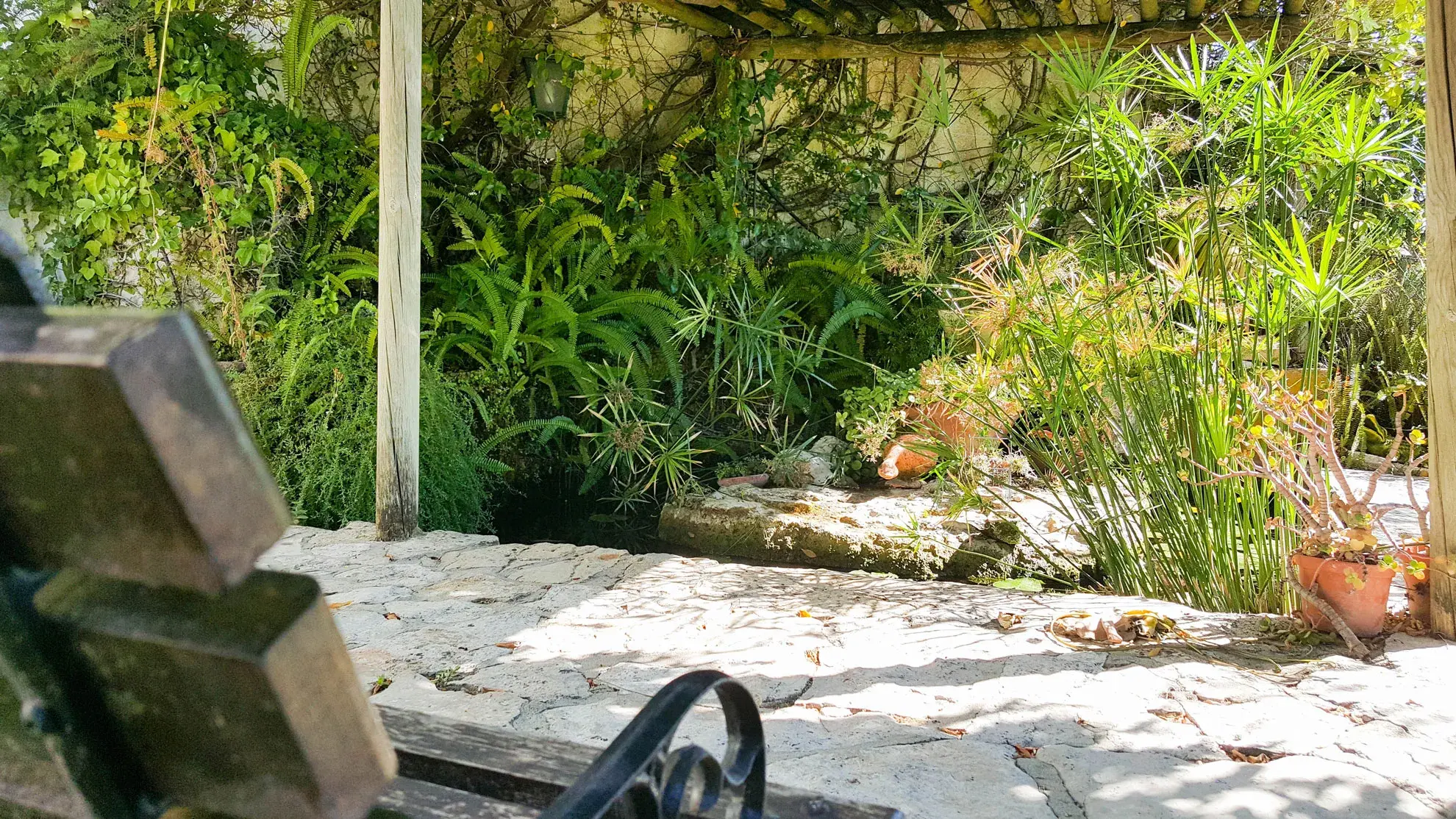 La Venus de Lisboa - photo - photo-08