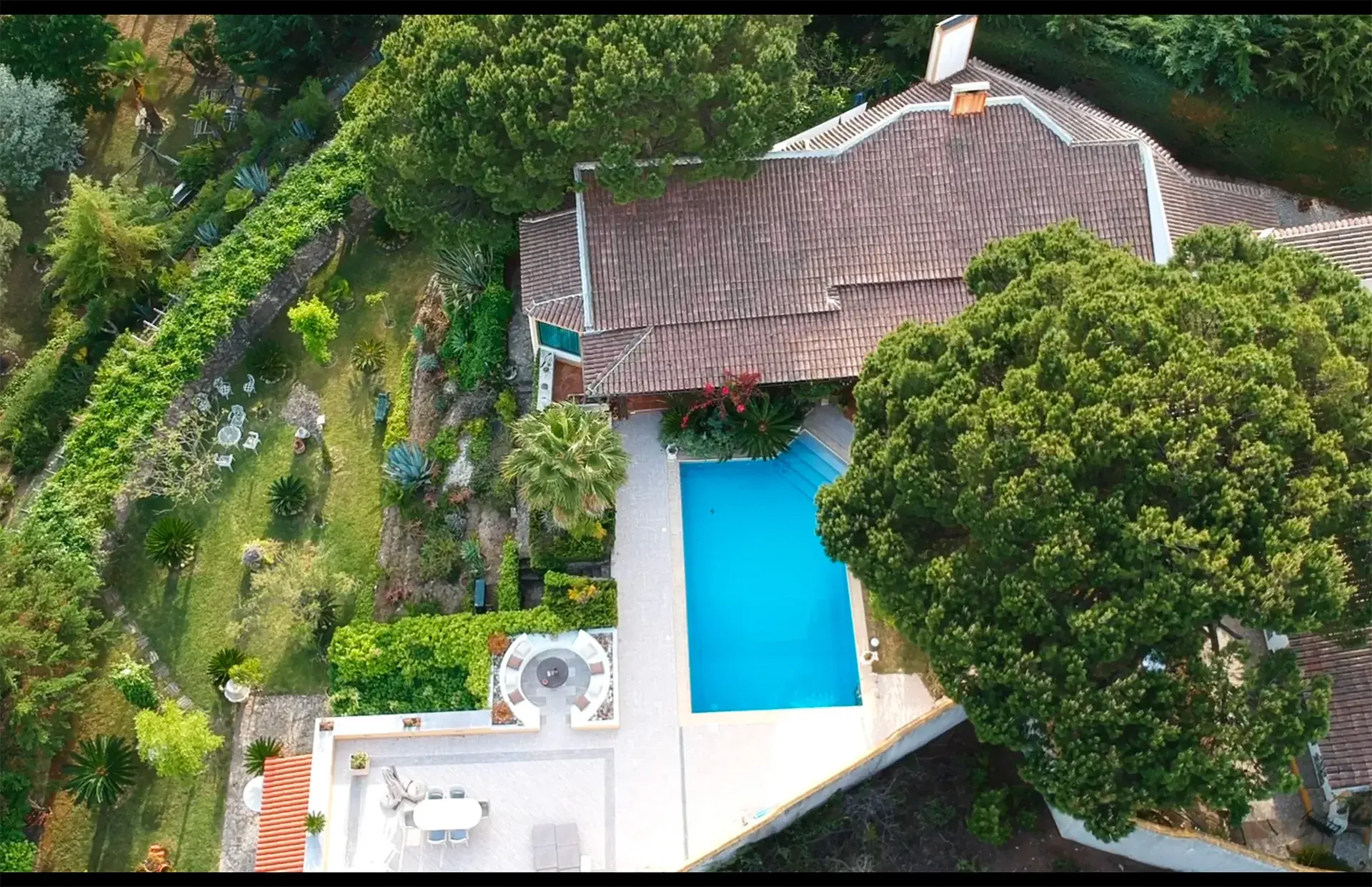 La Venus de Lisboa - photo - photo-10