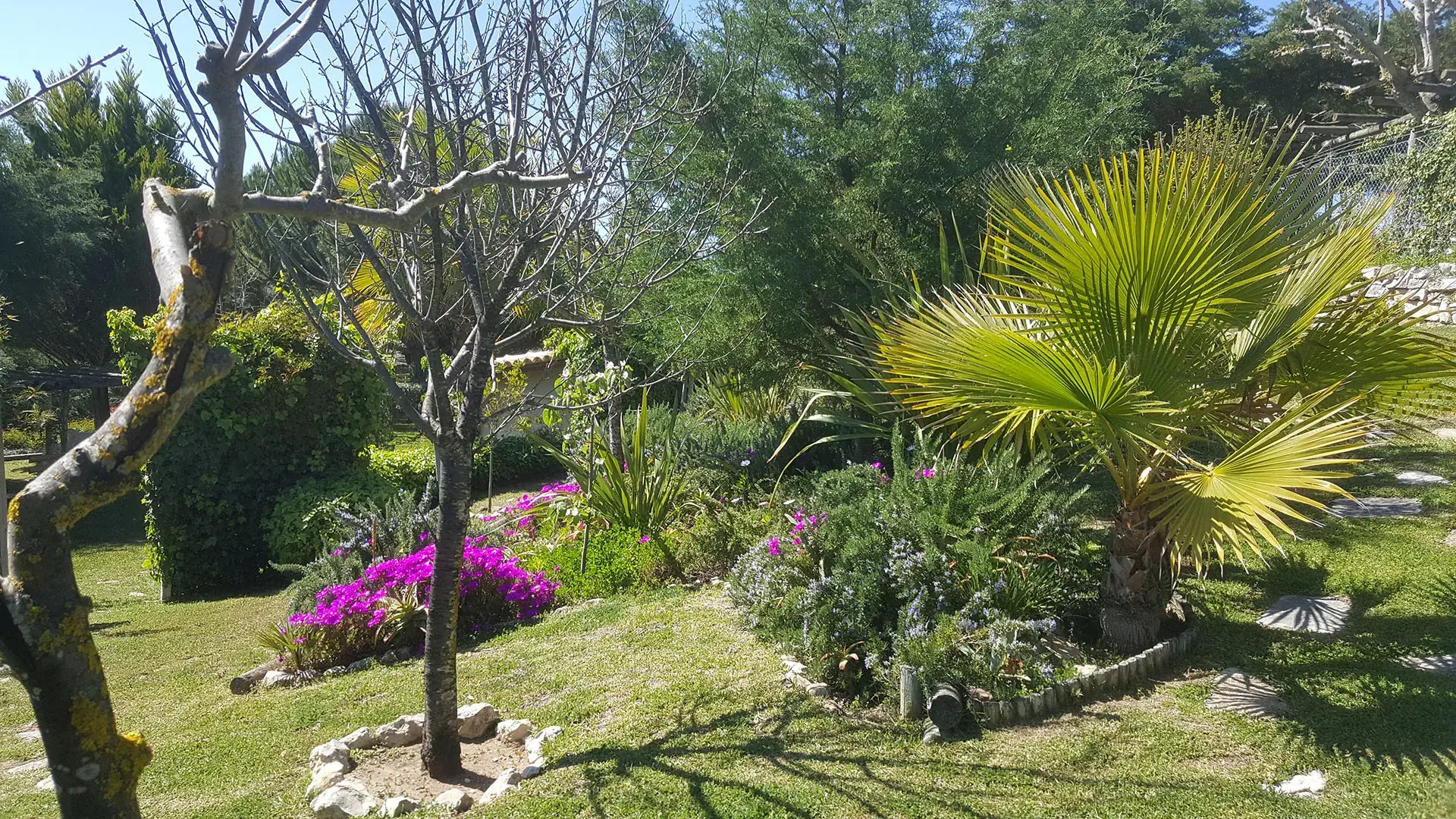 La Venus de Lisboa - Espacio <span class="text-highlight">Fiesta en el jardín</span> - photo-01