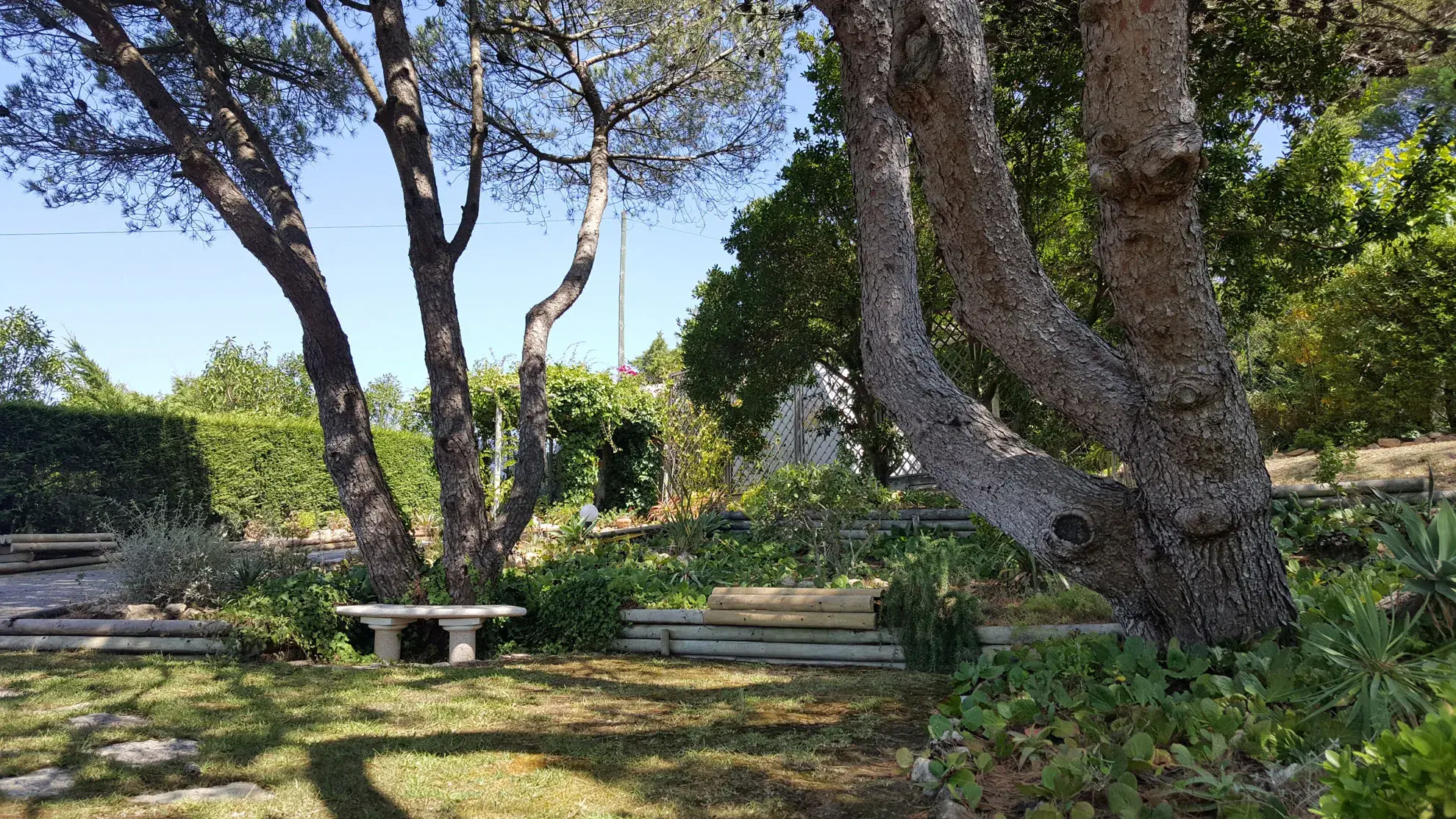 La Venus de Lisboa - Espacio <span class="text-highlight">Fiesta en el jardín</span> - photo-06