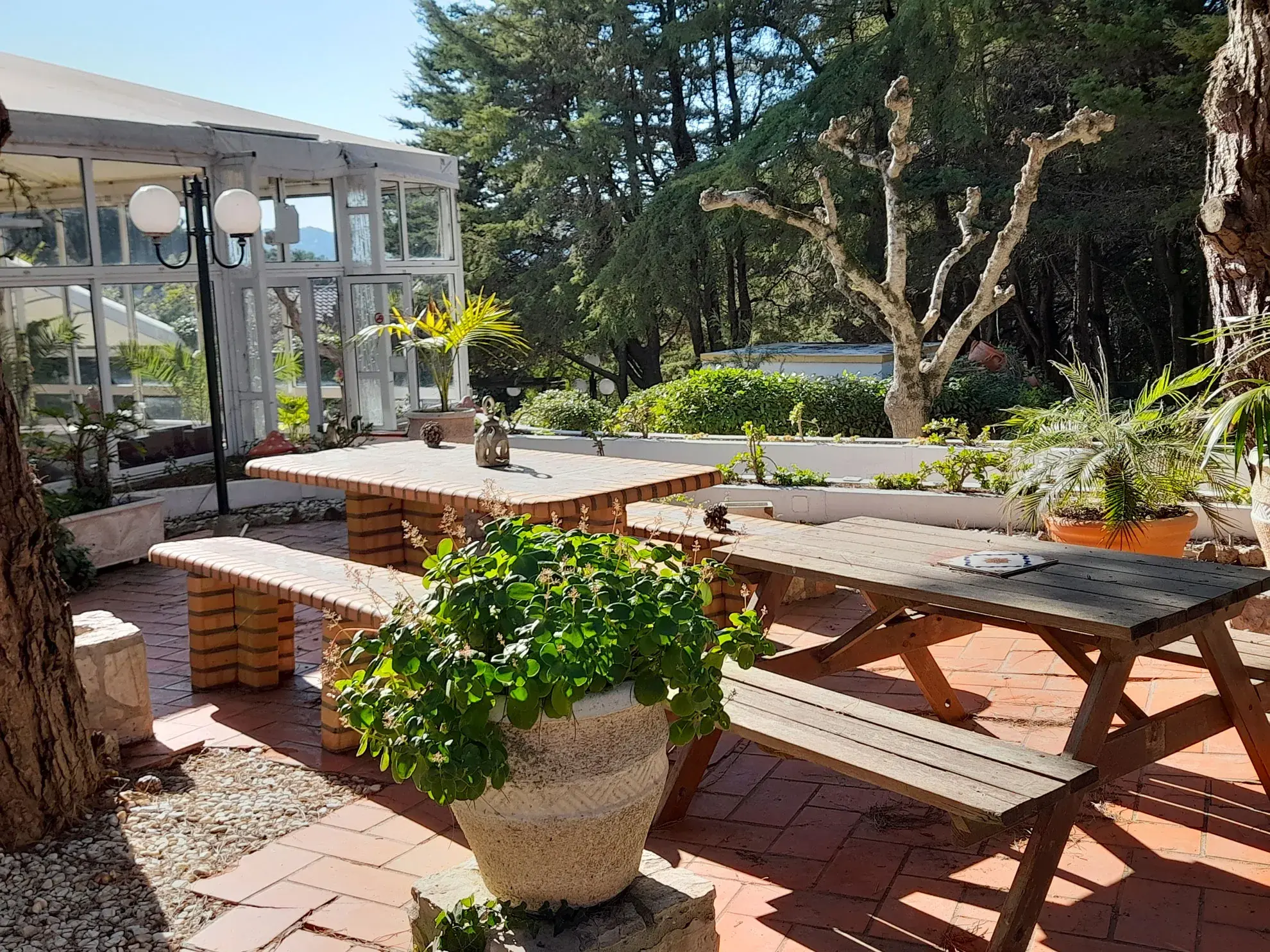 Vénus de Lisboa - A classe <span="text-highlight">Winter Garden</span> - photo-04