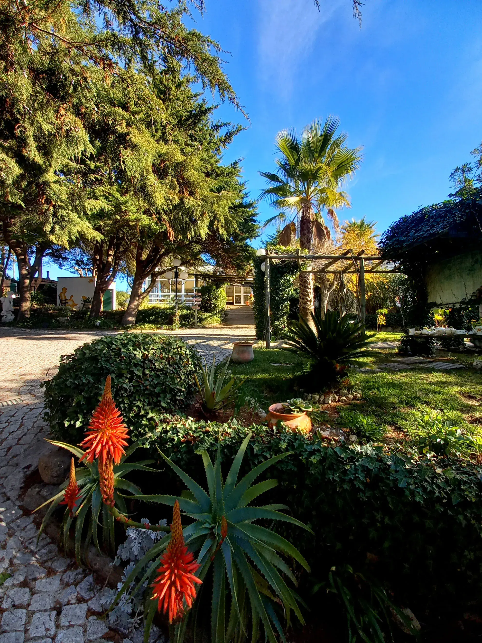 Vénus de Lisboa - A classe <span="text-highlight">Winter Garden</span> - photo-05