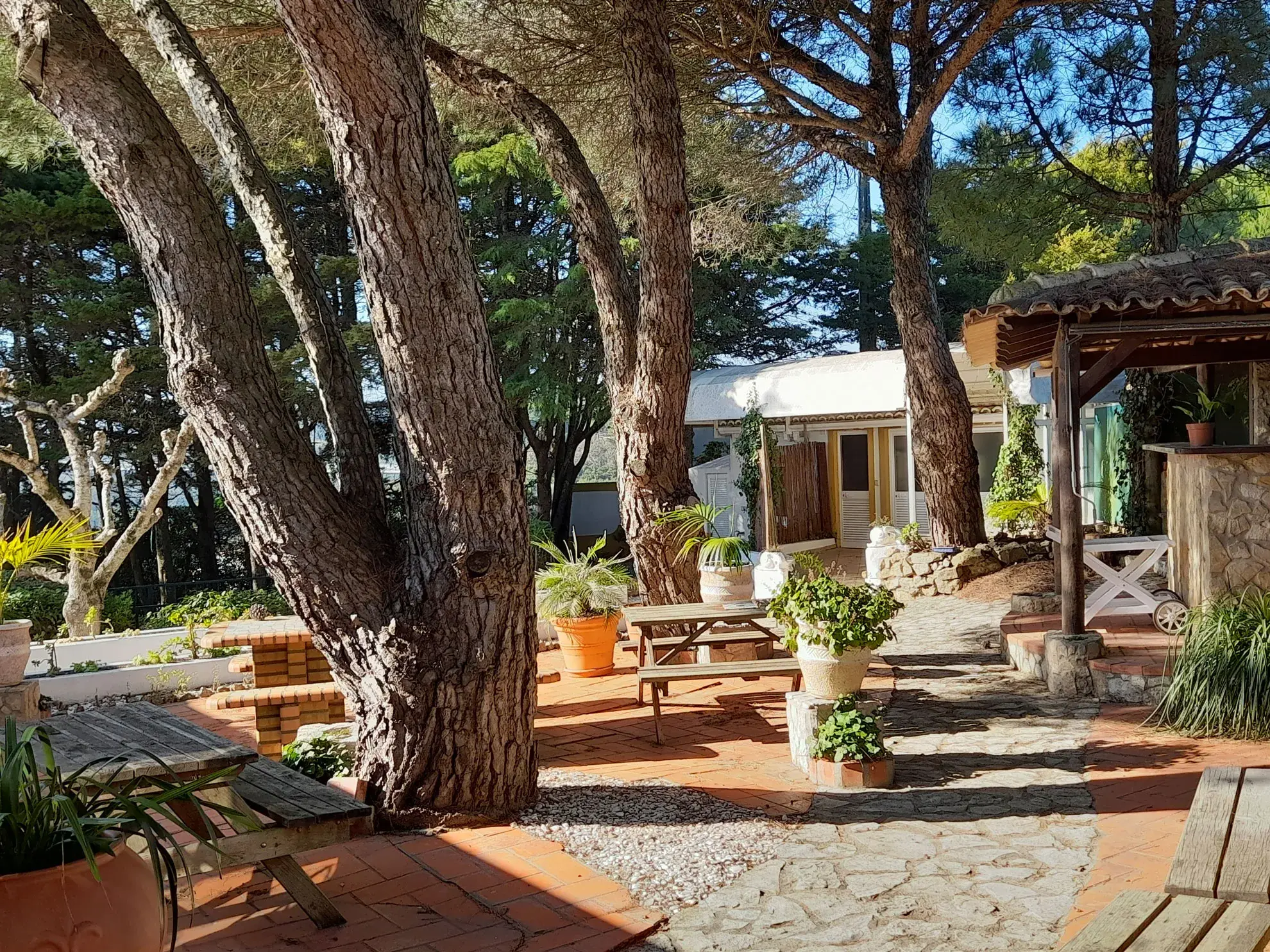 Vénus de Lisboa - A classe <span="text-highlight">Winter Garden</span> - photo-06