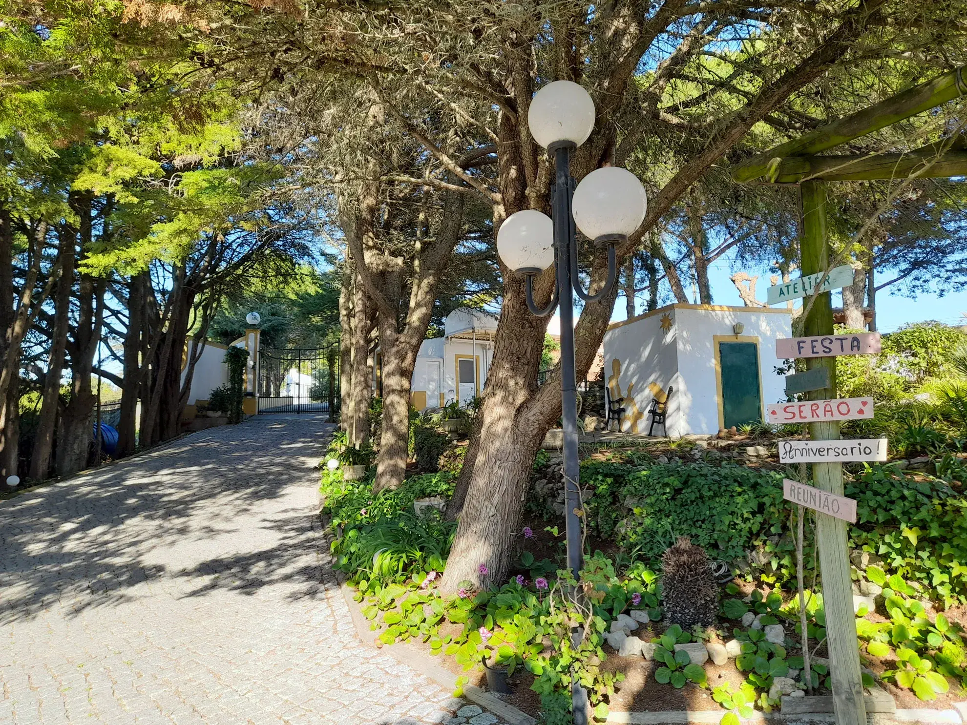 Vénus de Lisboa - A classe <span="text-highlight">Winter Garden</span> - photo-10