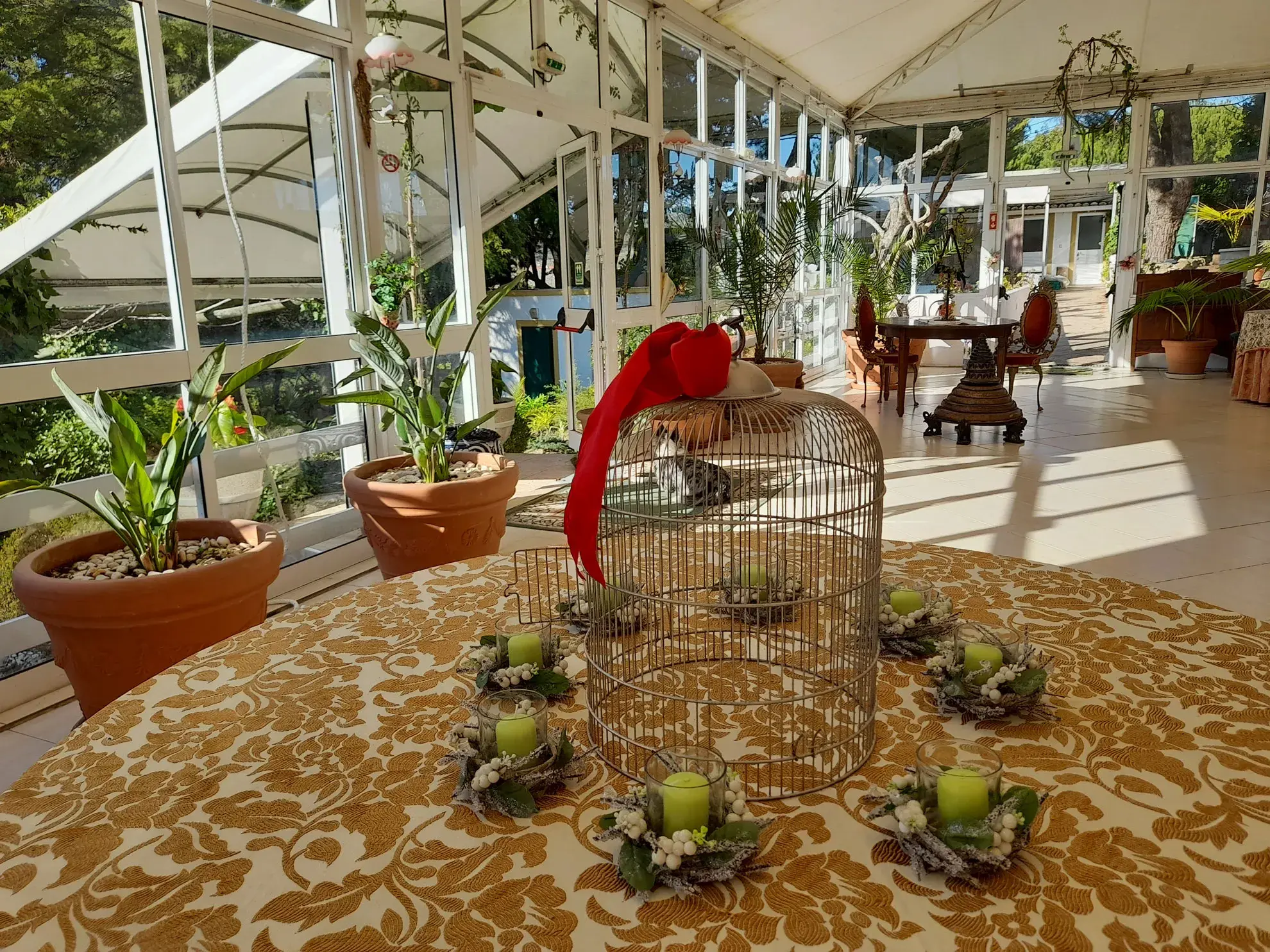 Vénus de Lisboa - A classe <span="text-highlight">Winter Garden</span> - photo-11