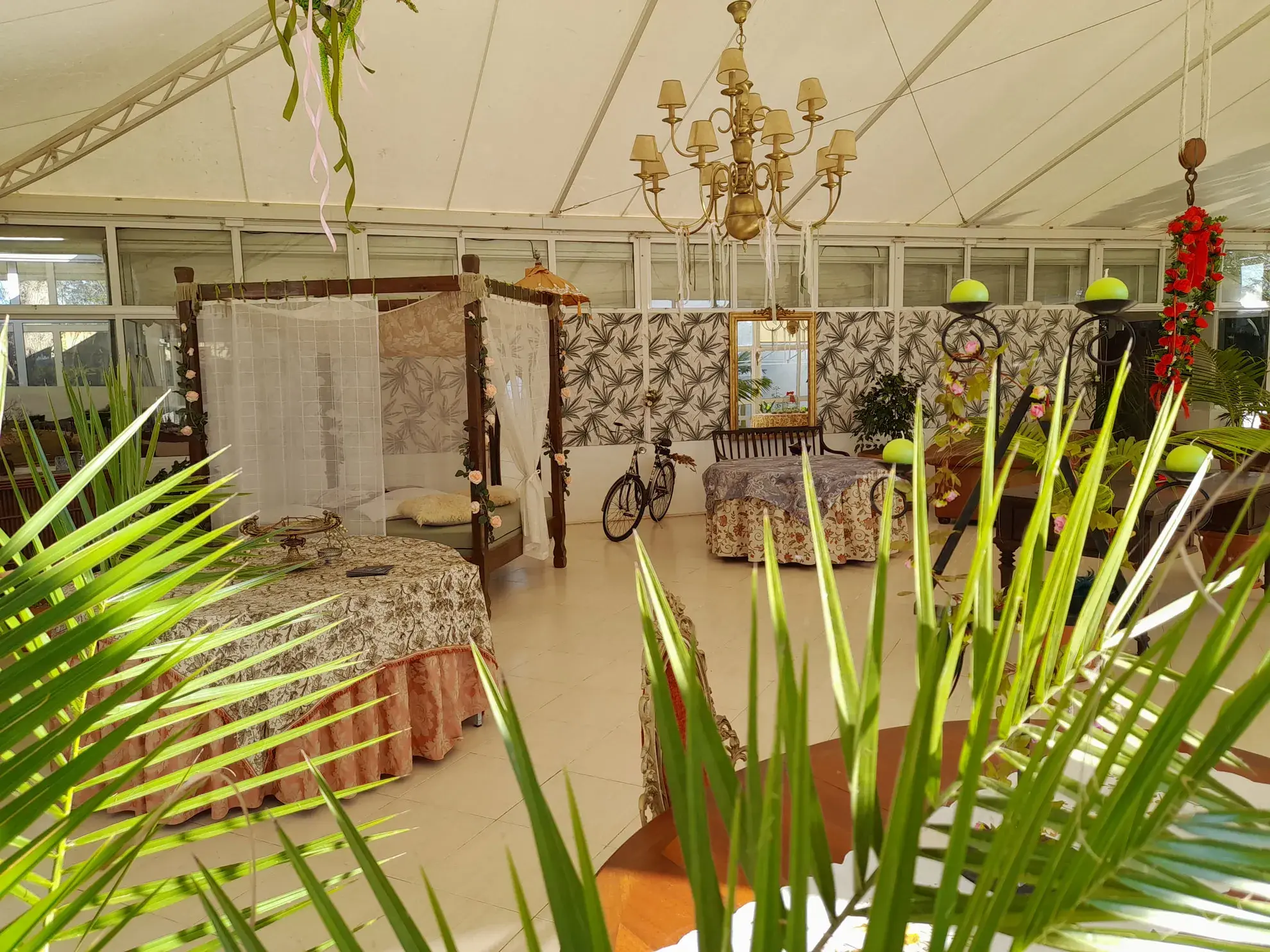 Vénus de Lisboa - A classe <span="text-highlight">Winter Garden</span> - photo-14