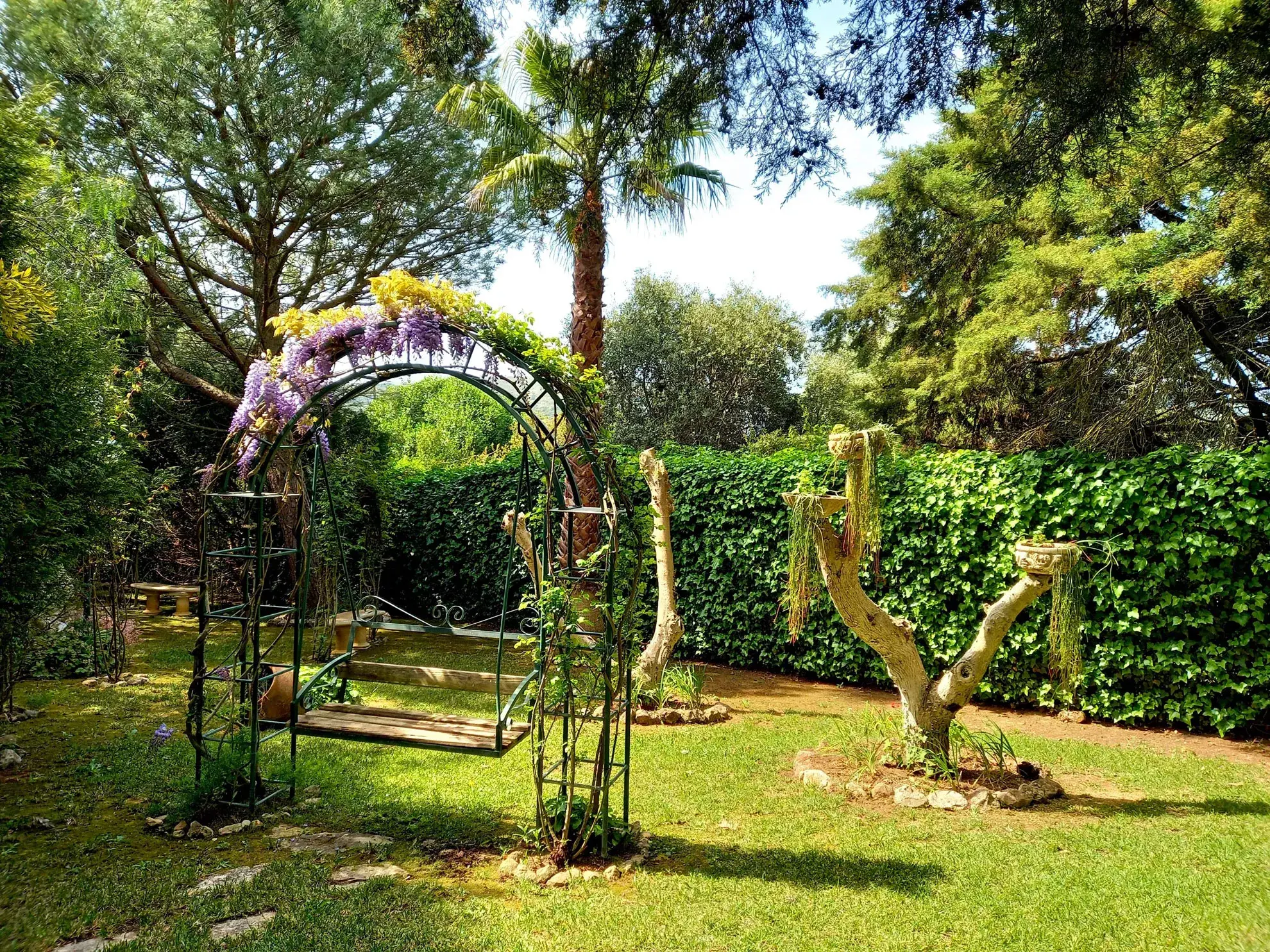 Vénus de Lisboa - A classe <span="text-highlight">Winter Garden</span> - photo-17