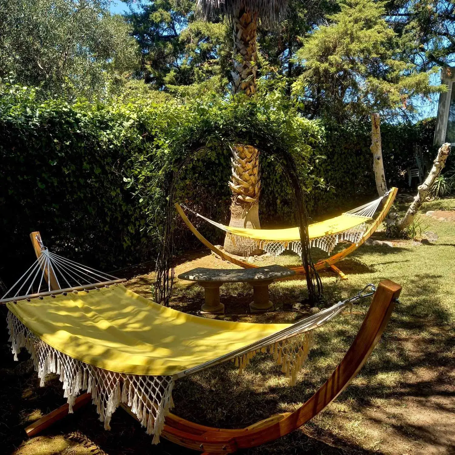 La Venus de Lisboa - Más información